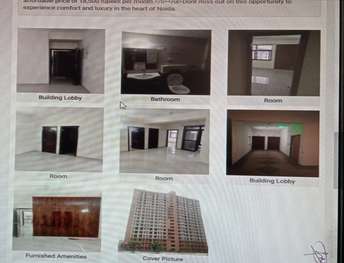 3 BHK Builder Floor For Rent in Sector 143 Noida 6125682