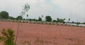  Plot For Resale in Nh65 Hyderabad 6126041