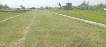 Plot For Resale in Sultanpur Road Lucknow  6126556