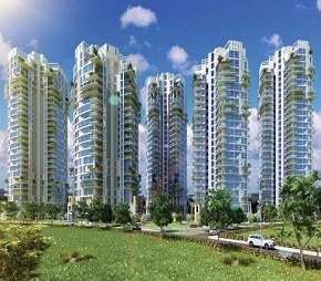 3 BHK Apartment For Rent in Pioneer Park Presidia Sector 62 Gurgaon 6126569