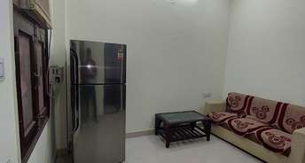 1 BHK Apartment For Rent in DDA Flats Sarita Vihar Sarita Vihar Delhi 6126913