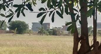  Plot For Resale in PhasE I Sector 1 30 Chandigarh 6128231