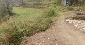  Plot For Resale in Dhanachuli Nainital 6128404