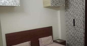 1 BHK Apartment For Rent in Kolte Patil City Avenue Wakad Pune 6128708