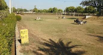  Plot For Resale in Sector 23 Dharuhera 6130009