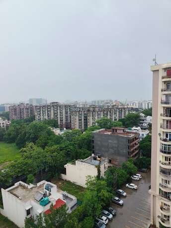 2 BHK Apartment For Rent in Maple Heights Sector 43 Gurgaon 6130046