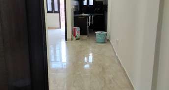 1 BHK Builder Floor For Rent in Kst Chattarpur Villas Chattarpur Delhi 6130166