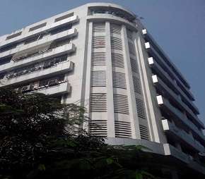 2 BHK Apartment For Rent in Tulip Apartment Santacruz West Santacruz West Mumbai 6130206