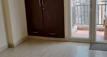 2 BHK Apartment For Rent in Amrapali Eden Park Sector 50 Noida 6130380