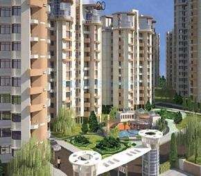 3 BHK Apartment For Rent in SDS NRI Residency Sector 45 Noida 6130662
