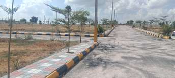  Plot For Resale in Musheerabad Hyderabad 6130844