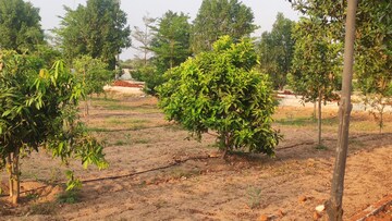  Plot For Sale in Kandukur