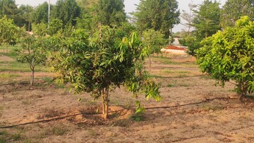 Plot Area in  Plot at Kandukur – for Sale
