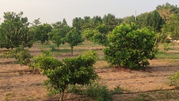 Plot For Sale in Kandukur