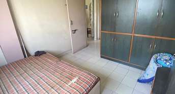 1 BHK Apartment For Rent in Ira Apartment Bhusari Colony Kothrud Pune 6131194