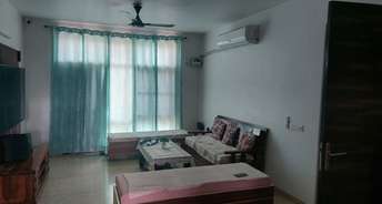 3.5 BHK Apartment For Resale in North Mullanpur Chandigarh 6131454