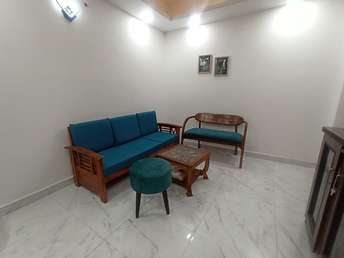 1 BHK Apartment For Rent in Freedom Fighters Enclave Saket Delhi 6131641