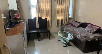 1 BHK Apartment For Rent in Swargate Pune 6132062