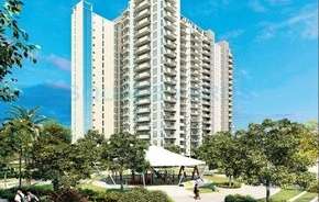3.5 BHK Apartment For Rent in Ireo The Corridors Sector 67a Gurgaon 6132199