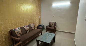 2 BHK Builder Floor For Rent in Mittals Rishi Apartments Chandigarh Ambala Highway Zirakpur 6132478