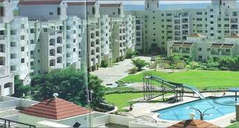 2 BHK Apartment For Rent in Konark Pooram Kondhwa Pune 6132520