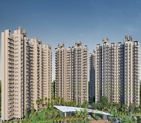 3 BHK Apartment For Resale in SS The Coralwood Sector 84 Gurgaon  6132809