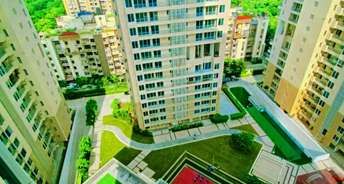 3 BHK Apartment For Rent in Ambience Tiverton Sector 50 Noida 6133099
