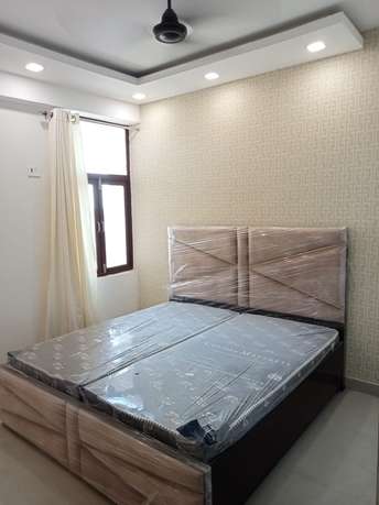 2.5 BHK Builder Floor For Rent in Sector 33 Sonipat 6133144