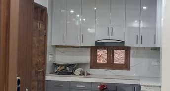 2 BHK Builder Floor For Rent in Nangal Dewat Delhi 6133250