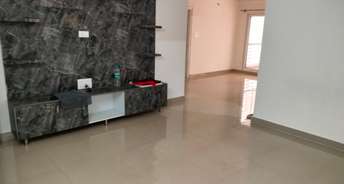 2 BHK Apartment For Rent in Whitefield Bangalore 6133810