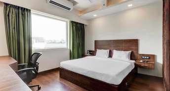 1 BHK Apartment For Rent in Sahastradhara Road Dehradun 6133919
