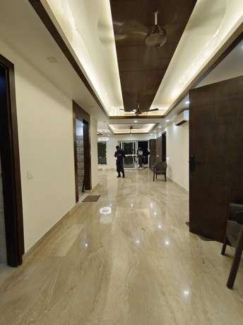 4 BHK Builder Floor For Rent in Sector 56 Gurgaon 6134560