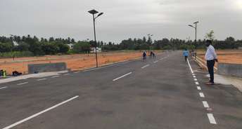  Plot For Resale in Pn Road Tirupur 5901913