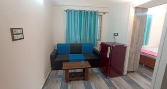 1 BHK Apartment For Rent in Whitefield Bangalore 6135291