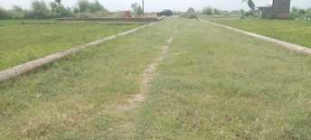 Plot For Resale in Sultanpur Road Lucknow  6135628