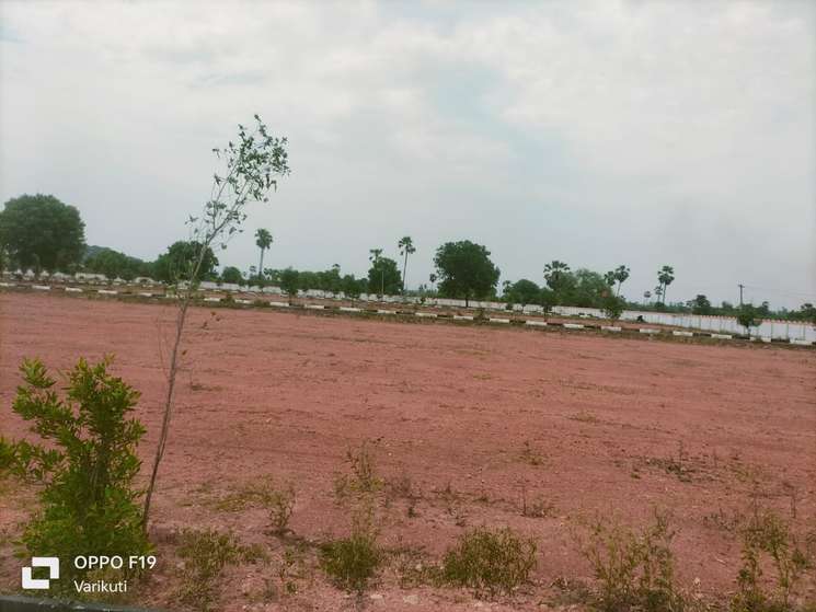 Padmasri Townships' FarmlandS-Near National Highway