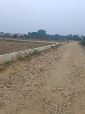 Plot For Resale in Gomti Nagar Lucknow  6136402