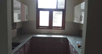 1.5 BHK Builder Floor For Rent in Gn Sector Delta ii Greater Noida 6136407