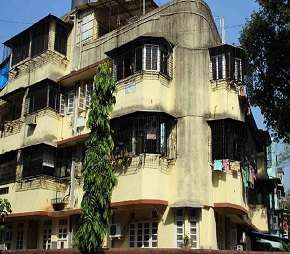 3 BHK Apartment For Rent in Krishna Kunj Churchgate Churchgate Mumbai 6137185