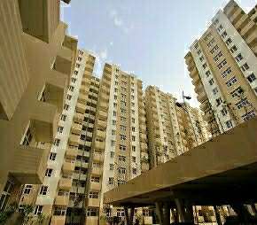 2 BHK Apartment For Resale in Tulip Lemon Sector 69 Gurgaon  6137285