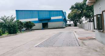 Commercial Warehouse 30000 Sq.Ft. For Rent In DelhI  Mathura Highway Mathura 6137350