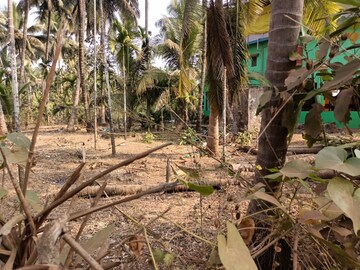 Plot – Garden View at Shrivardhan - for Sale
