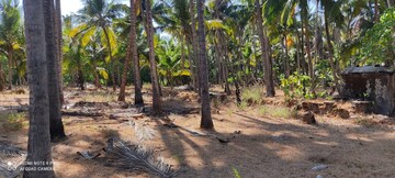 Plot Area in  Plot at Shrivardhan – for Sale