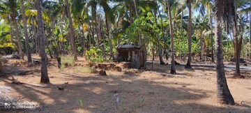 Plot Area in  Plot at Shrivardhan – for Sale