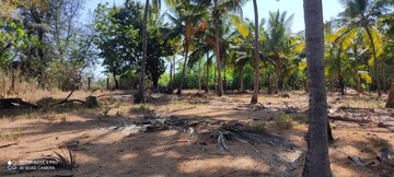Plot Area in  Plot at Shrivardhan – for Sale