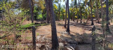 Plot Area in  Plot at Shrivardhan – for Sale