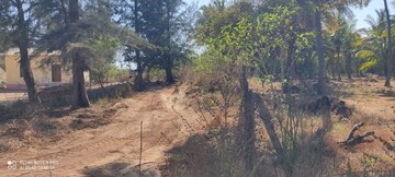 Plot Area in  Plot at Shrivardhan – for Sale