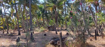 Plot Area in  Plot at Shrivardhan – for Sale