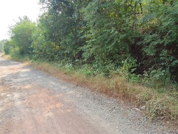 Plot Area in  Plot at Mandangad – for Sale