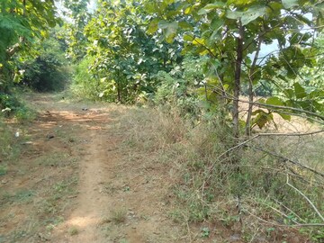 Plot Area in  Plot at Mandangad – for Sale